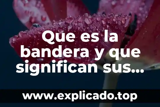 Que es la bandera de mexico y significado de colores 4 Que es la bandera y que significan sus colores