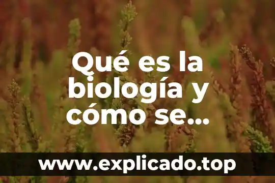 Qué es la distancia de trabajo en biología 8 Qué es la biología y cómo se estudia