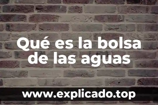 Que es la bolsa de valores de lima 7 Qué es la bolsa de las aguas