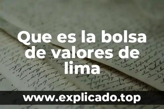 Qué es la bolsa de las aguas 3 Que es la bolsa de valores de lima