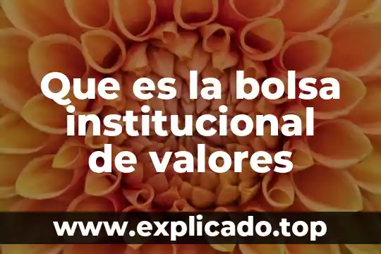 Qué es la bolsa de las aguas 5 Que es la bolsa institucional de valores