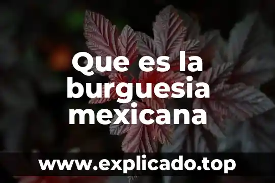 Que es la revolucion mexicana de 1910 para preescolar 3 Que es la burguesia mexicana