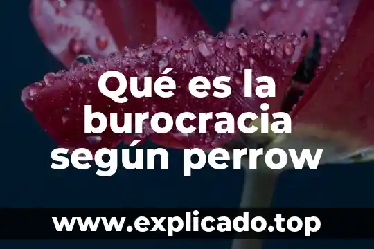 Que es competitividad según el foro económico mundial 3 Qué es la burocracia según perrow