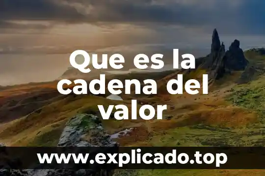 Qué es el nivel trófico en la cadena alimenticia 6 Que es la cadena del valor