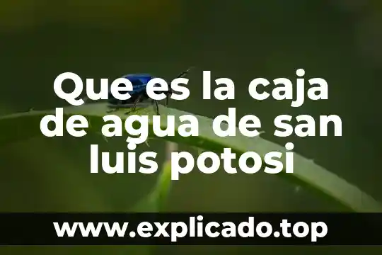 Que es la conductividad termica del agua 3 Que es la caja de agua de san luis potosi