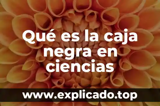 Qué es un sistema de caja negra 4 Qué es la caja negra en ciencias