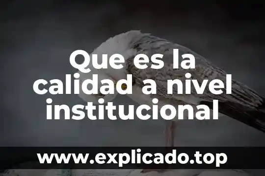 Que es el nivel de generalidad 5 Que es la calidad a nivel institucional