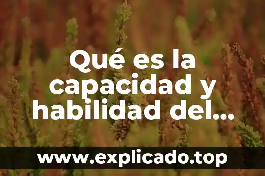 Que es tecnica y habilidad 3 Qué es la capacidad y habilidad del proceso cuestionario