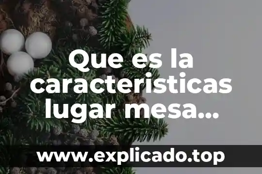 Pinza punta redonda que es 4 Que es la caracteristicas lugar mesa redonda