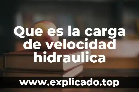 Que es una carga neta positiva hidráulica 8 Que es la carga de velocidad hidraulica