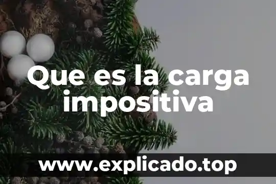 Que es una función estática en php 4 Que es la carga impositiva