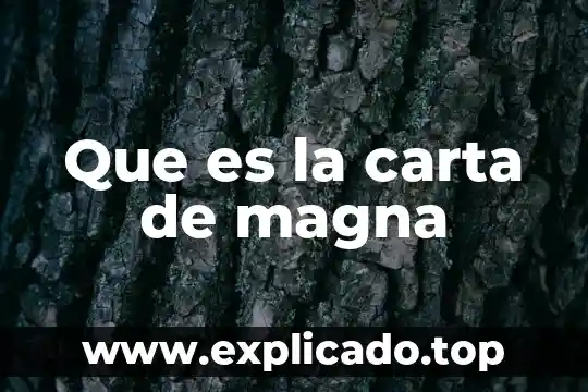 Que es nuestra carta magna 7 Que es la carta de magna