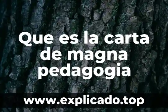 Que es la pedagogia socialista 3 Que es la carta de magna pedagogia