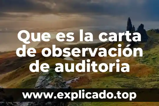 Que es una carta de observaciones o informeargo 4 Que es la carta de observación de auditoria