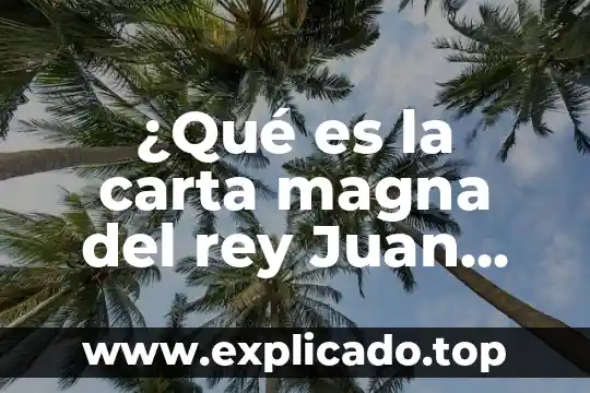 Que es nuestra carta magna 3 ¿Qué es la carta magna del rey Juan sin Tierra?