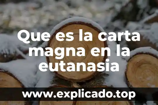 Que es nuestra carta magna 5 Que es la carta magna en la eutanasia