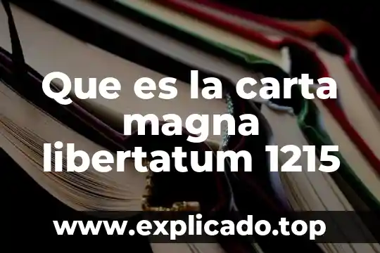 Que es nuestra carta magna 4 Que es la carta magna libertatum 1215