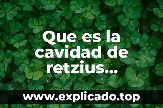 Qué es ritmo en el diccionario 6 Que es la cavidad de retzius diccionario