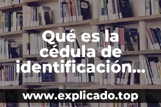 Que es una cedula de registro 3 Qué es la cédula de identificación fiscal