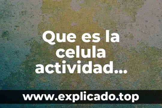 Que es la celula actividad experimental