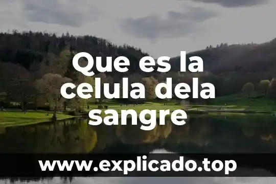 Que es la celula dela sangre