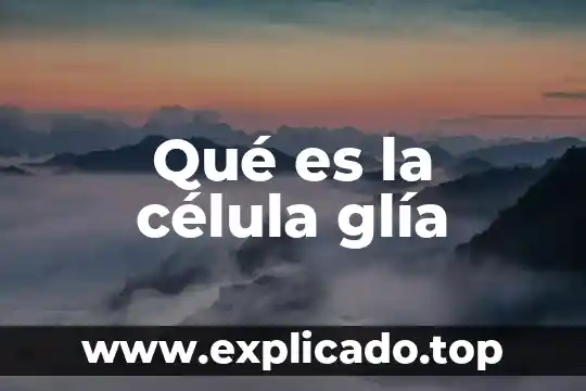 Que es sustancia citotoxica libera la celula asesina natural 7 Qué es la célula glía