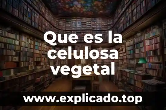 Estructura de la célula vegetal que es su membrana celular 8 Que es la celulosa vegetal
