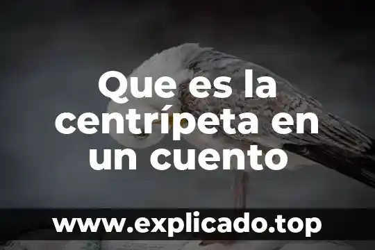Que es el lomo de un cuento 8 Que es la centrípeta en un cuento