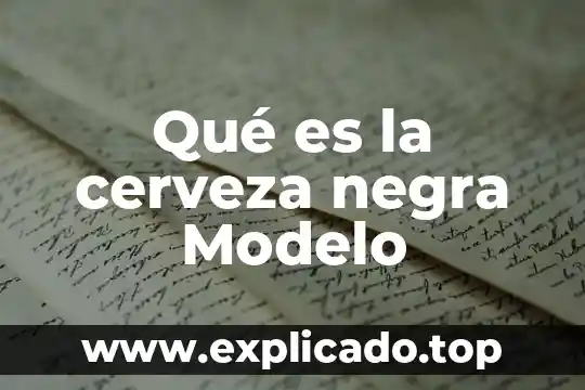 Qué es un sistema de caja negra 3 Qué es la cerveza negra Modelo