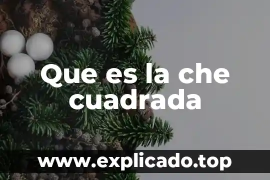 Felicidades que es comida 8 Que es la che cuadrada