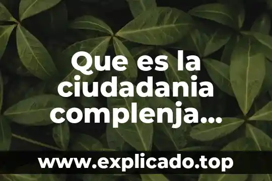 Que es la ciudadania complenja ejemplos