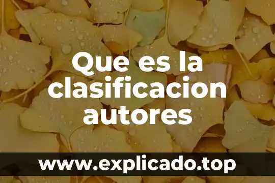 Que es un plan de incentivos segun autores 6 Que es la clasificacion autores