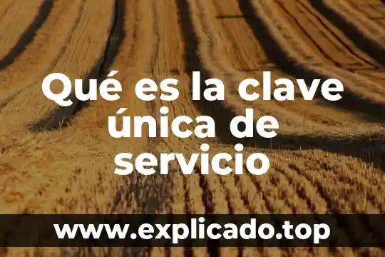 Que es una clave de sesion en seguridad informatica 6 Qué es la clave única de servicio