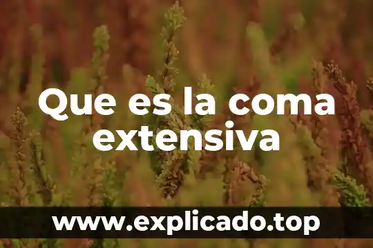 Para que es el punto y coma yahoo 4 Que es la coma extensiva