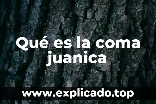 Para que es el punto y coma yahoo 3 Qué es la coma juanica
