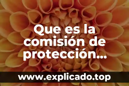 Qué es el derecho a la protección especial 8 Que es la comisión de protección social en salud