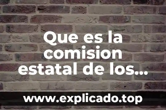 Que es la comision estatal de los derechos humanos tabasco