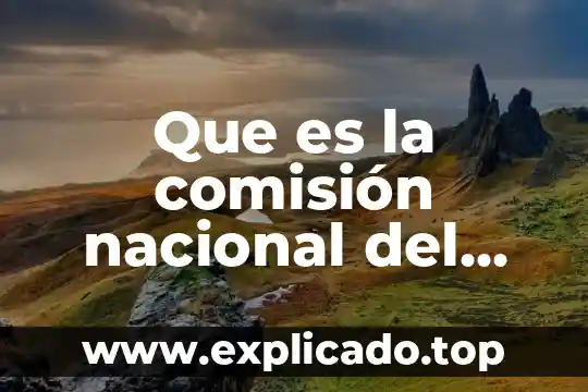Que es la comisión nacional del agua