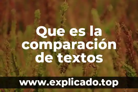 Que es estilo en el procesador de textos en word 5 Que es la comparación de textos
