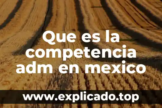 Qué es lisiado en México 4 Que es la competencia adm en mexico