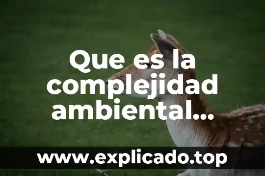 Que es contaminar en ambiental 8 Que es la complejidad ambiental número de interfases externas