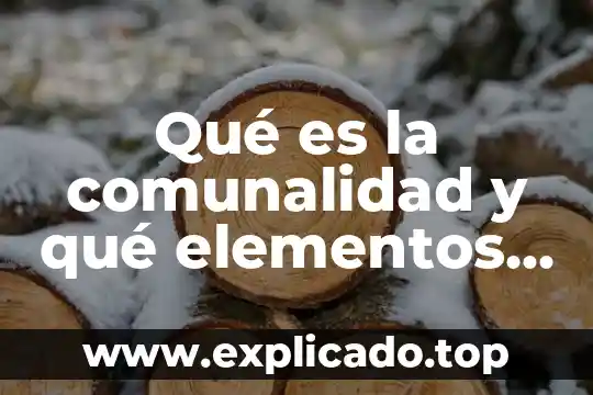 Que es el modelo tcp capas que lo integran 6 Qué es la comunalidad y qué elementos la integran