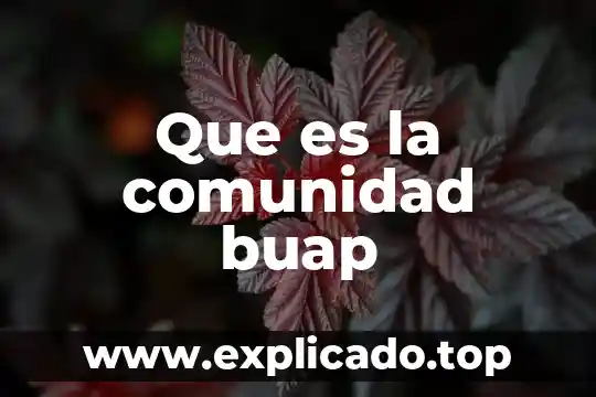 Que es el codigo que pide la buap 3 Que es la comunidad buap