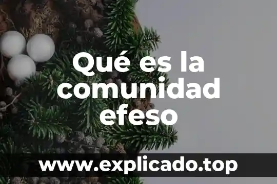 Qué es la comunidad educativa en panamá 6 Qué es la comunidad efeso