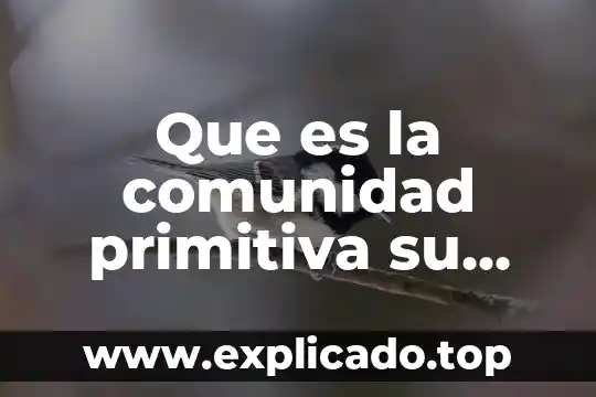 Que es el desarrollo de la comunidad ezequiel ander egg 8 Que es la comunidad primitiva su caracteristicas y la educacion