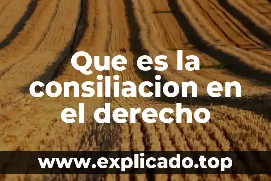 Que es el derecho de usuario 3 Que es la consiliacion en el derecho