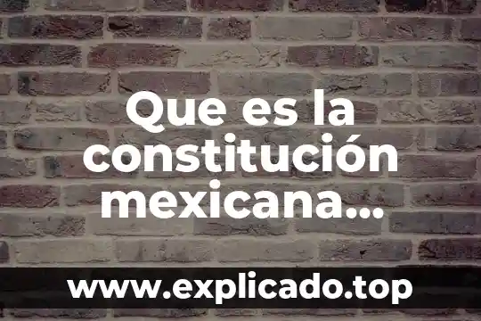 Que es aplicación web animada 8 Que es la constitución mexicana animada