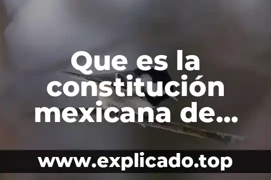 Qué es más exportación fusión adquisición en Estados Unidos 6 Que es la constitución mexicana de los estados unidos mexicanos