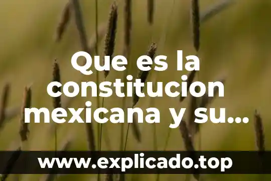 Que es el articulo de constitución 5 Que es la constitucion mexicana y su clasificacion humberto delgadillo