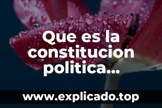 Que es monstruosa diccionario de la real academia 5 Que es la constitucion politica diccionario de la real academia